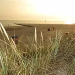 Daheim Borkum